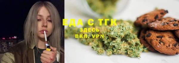 прущие грибы Абаза