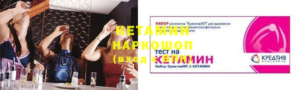прущие грибы Абаза