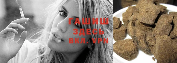 прущие грибы Абаза