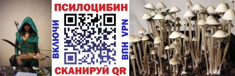 цены   Болхов  Псилоцибиновые грибы GOLDEN TEACHER 